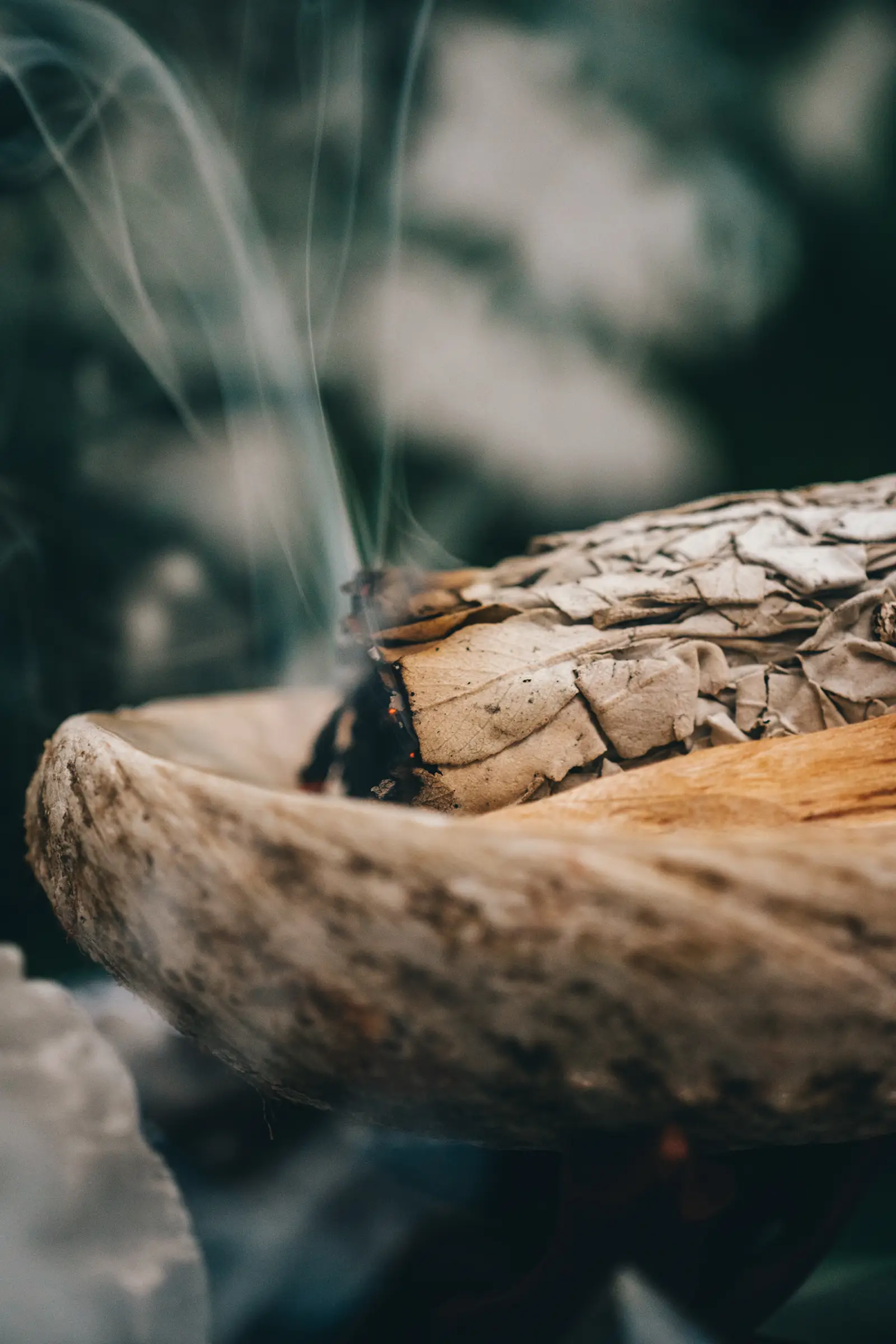 Biodanza Tanzabende Oberberg