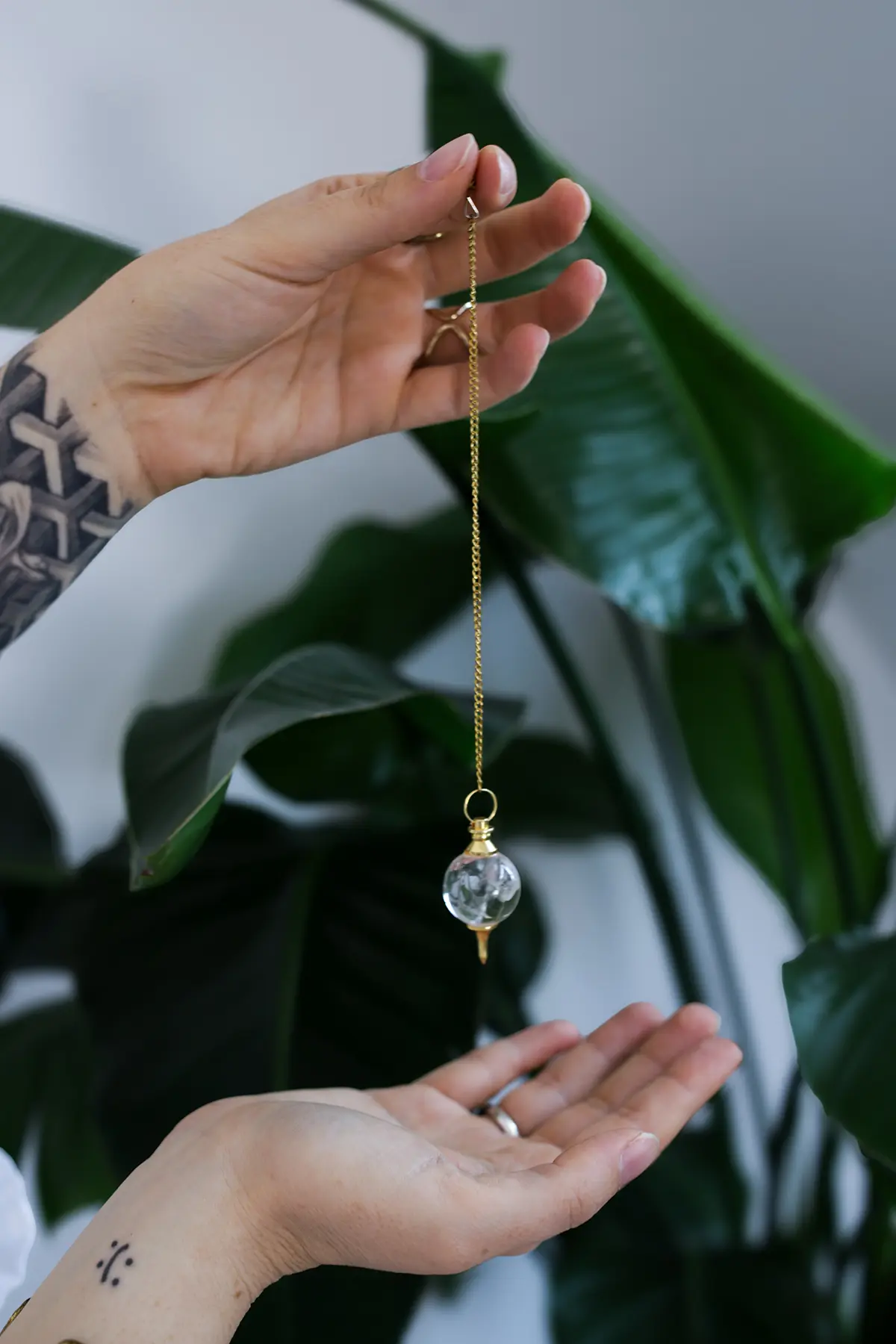 Humanenergetik Braunschweig